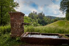 Trinkbrunnen in der Umgebung von Trippstadt