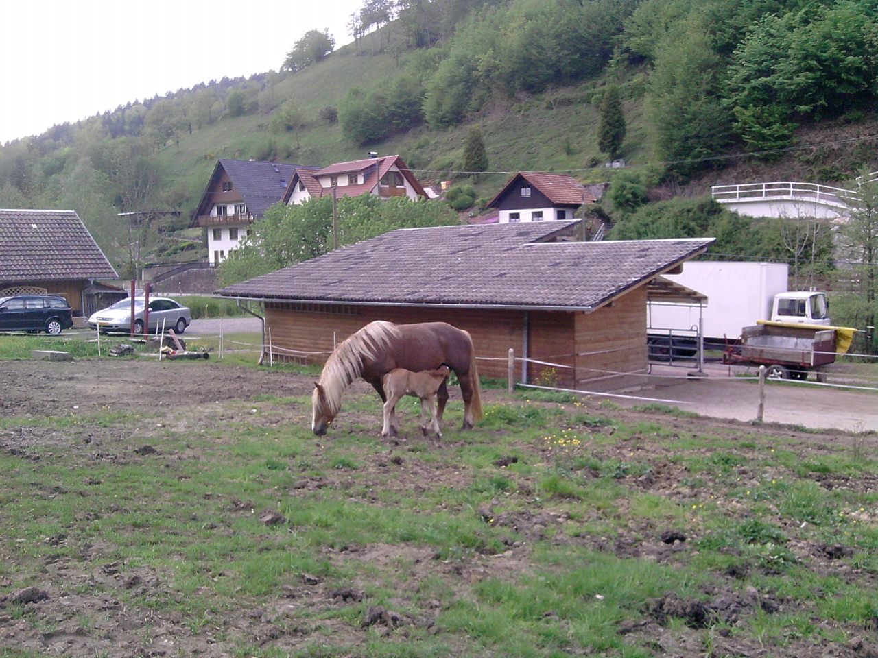 Trinken bei Mama