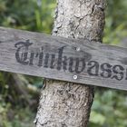 Trinkwasser - wird immer wertvoller