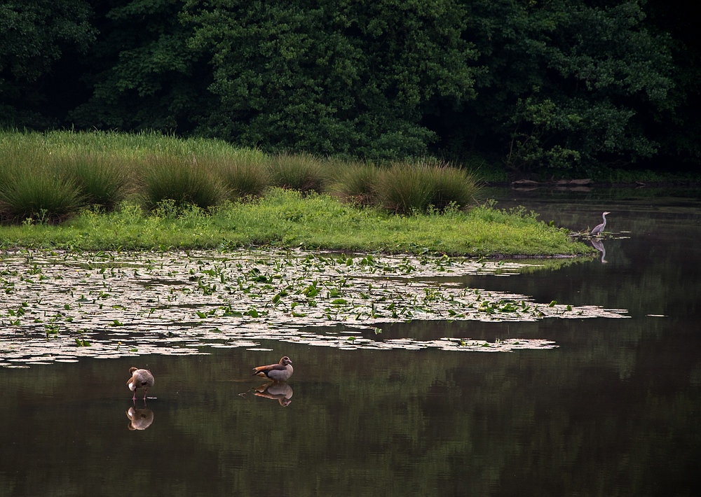 Trio am Aprather Mühlenteich