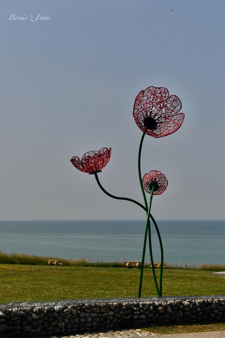 Trio de fleurs