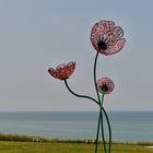 Trio de fleurs