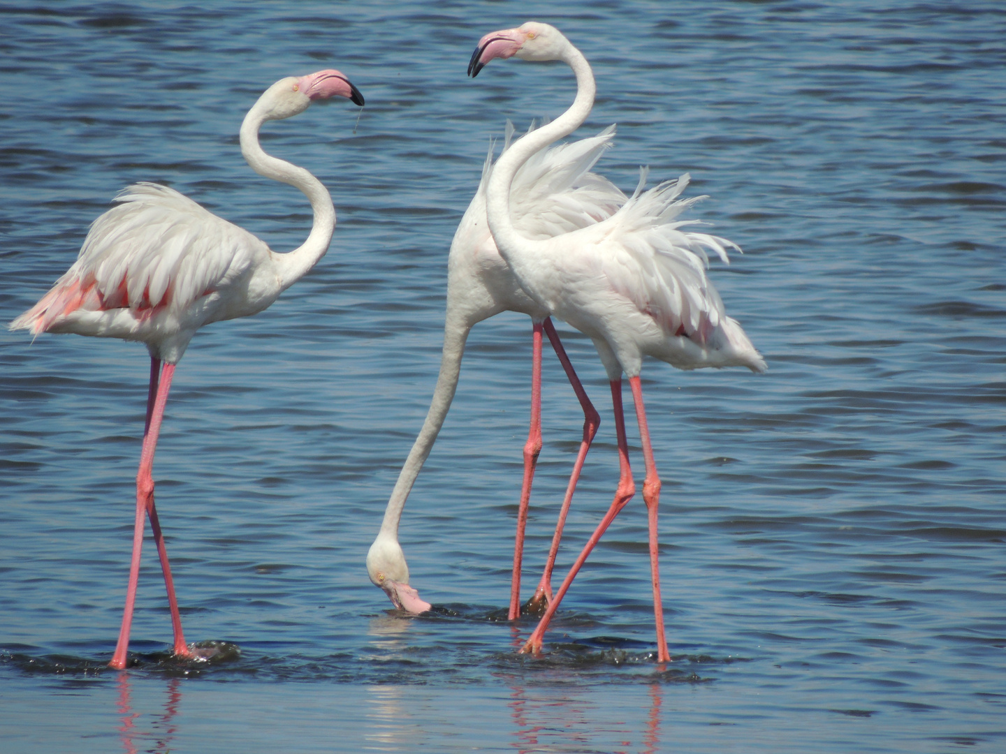 Trio im Gespraech