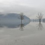 Trio im Hochwasser