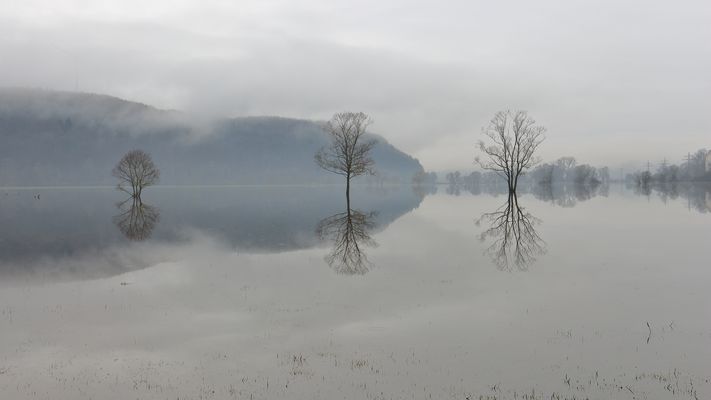 Trio im Hochwasser