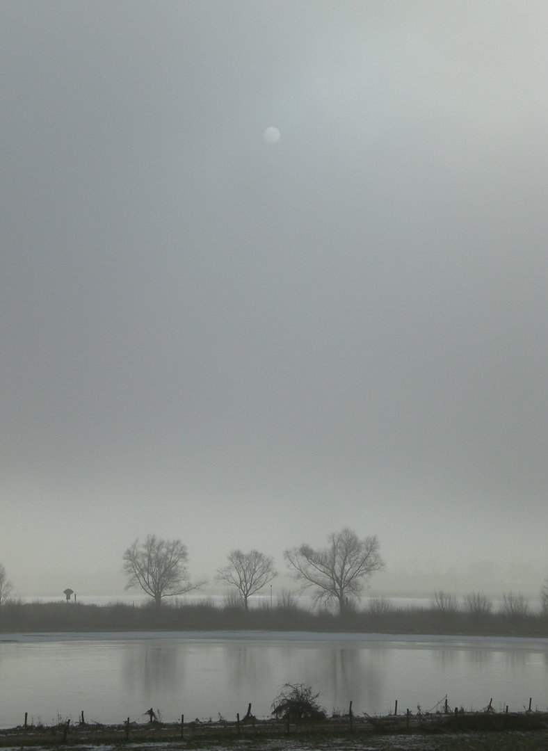 Trio im Rheinnebel