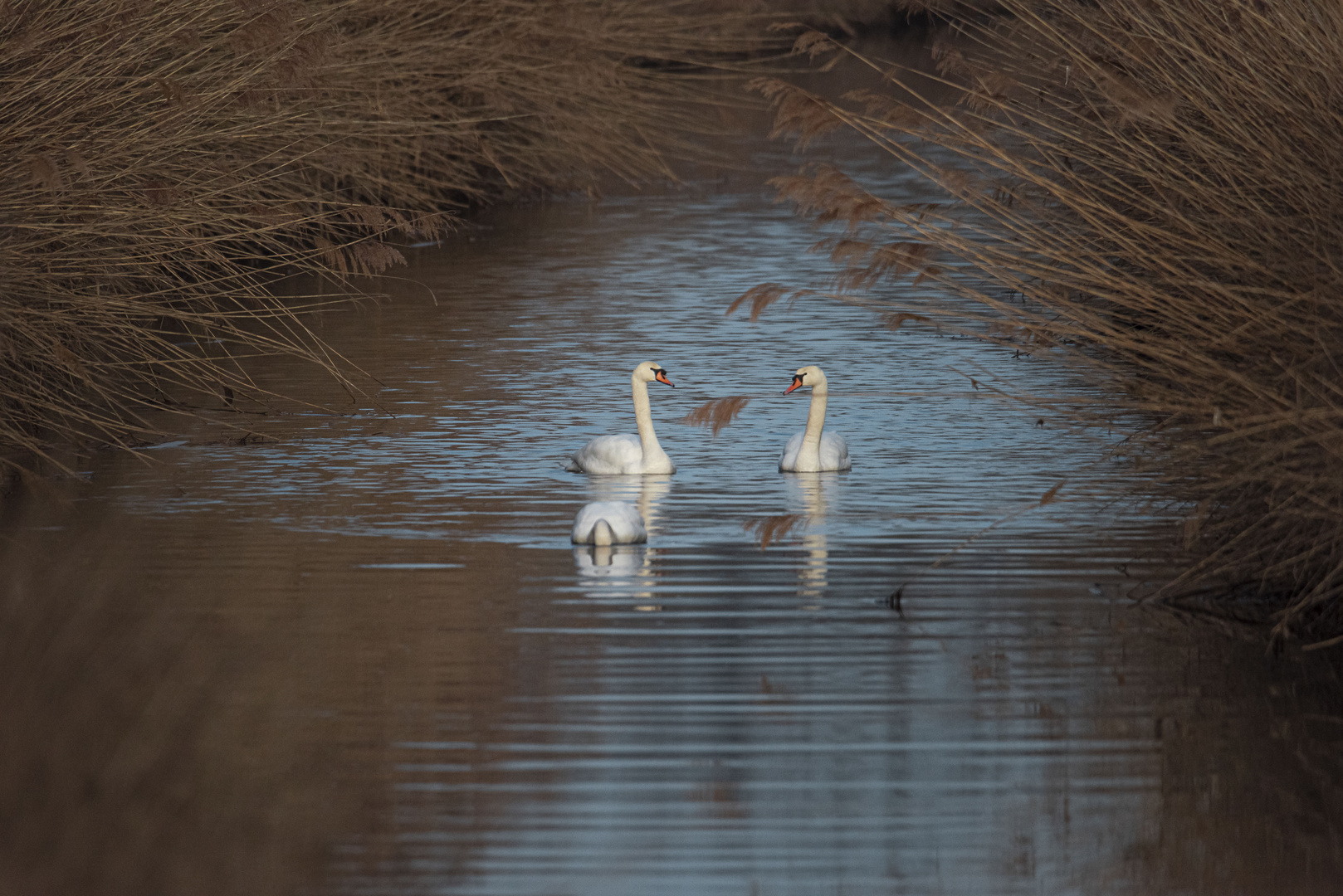 Trio im Sonnenaufgang