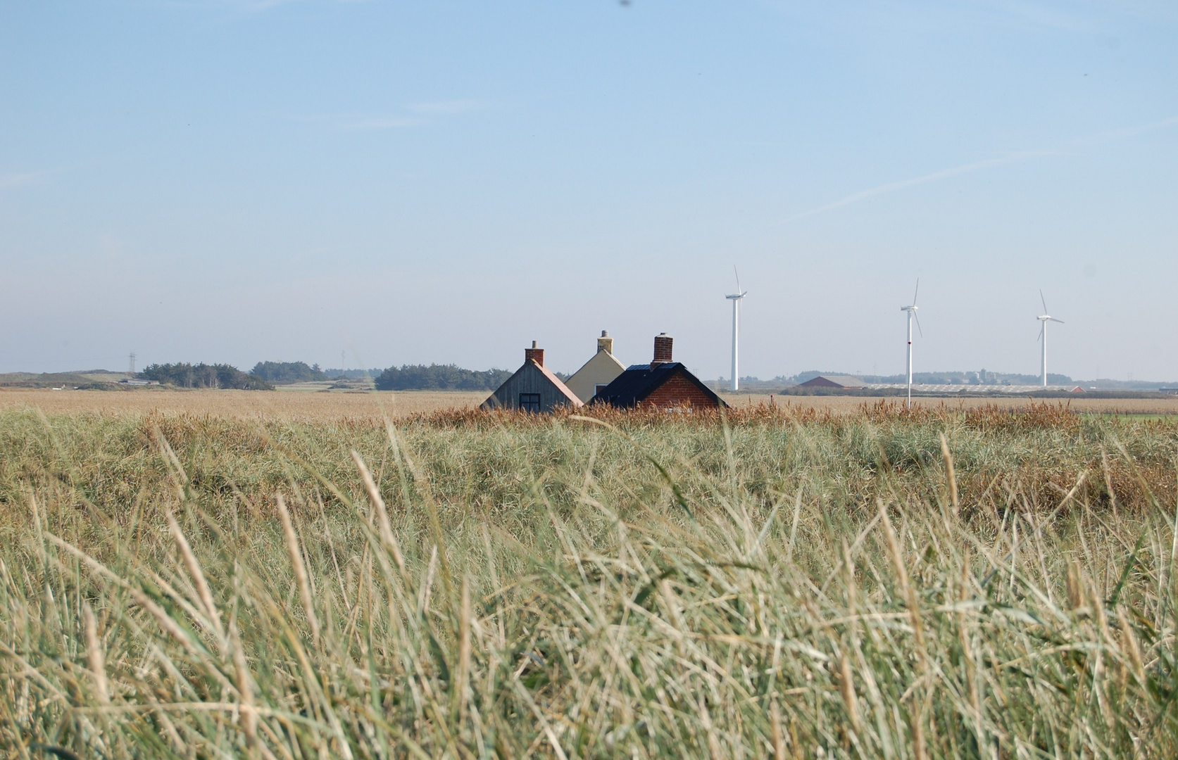 Trio in den Dünen