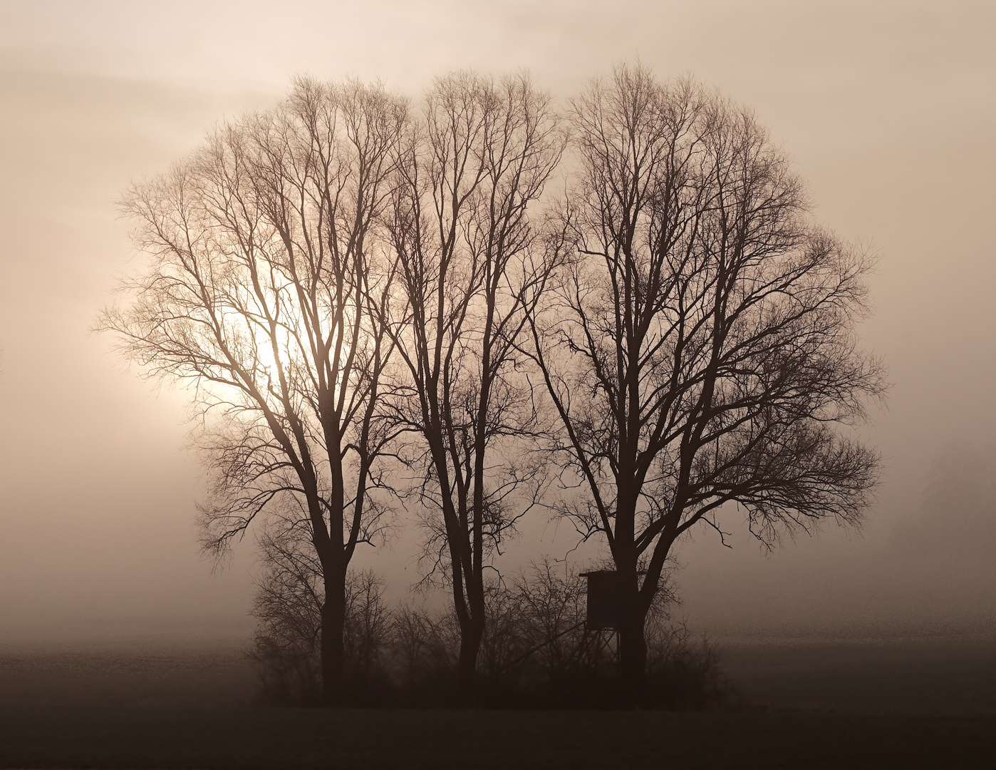 Trio mit Ansitz 