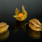 Trio Physalis