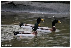 Trio Übermut