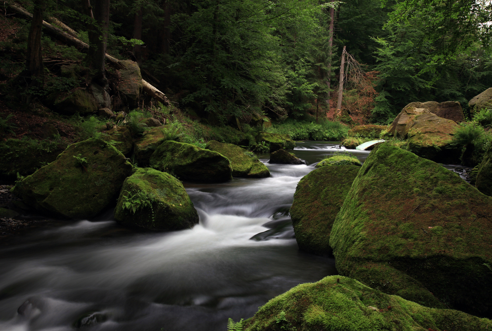 Trip im Tschechischen Nationalpark Böhmische Schweiz - Edmundsklamm und Wilde Klamm 5