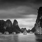 Trip in die Halong Bay in Vietnam