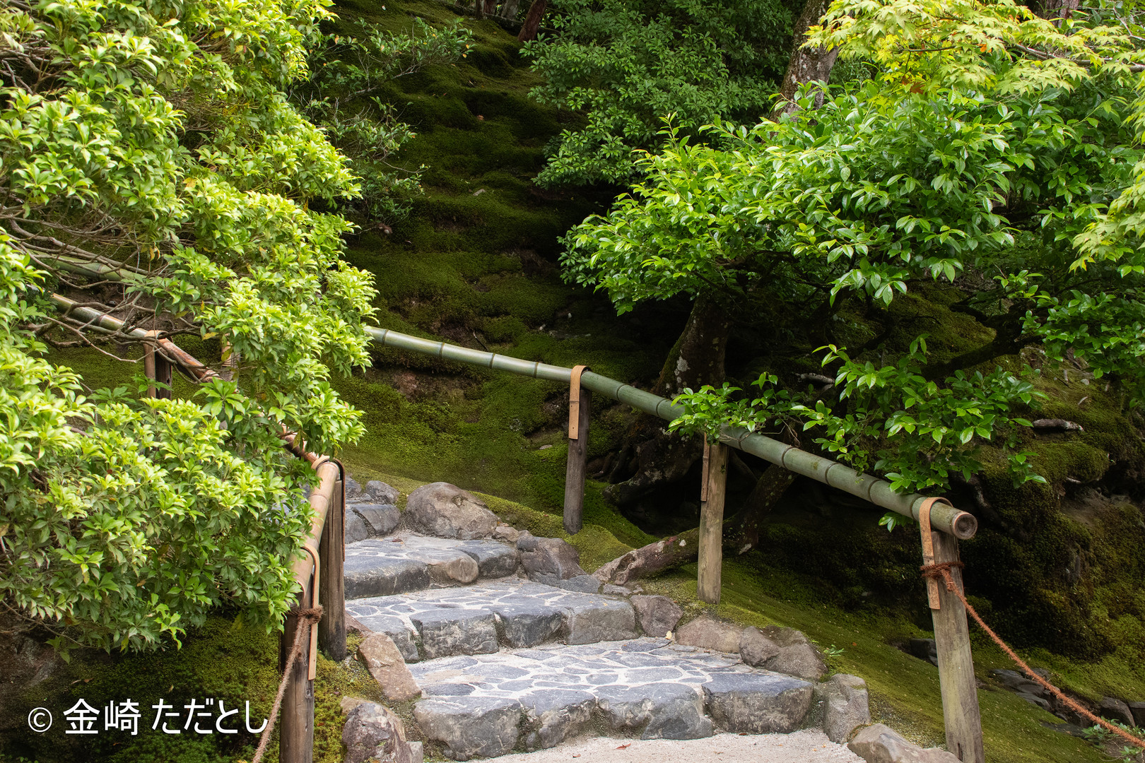 TRIP TO KYOTO-13
