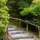 TRIP TO KYOTO-13