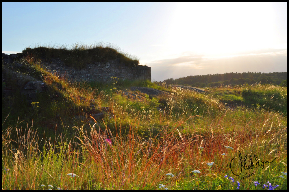 Trip to the ruins