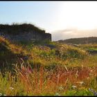 Trip to the ruins