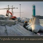 Tripodi finiti ed in essiccatura