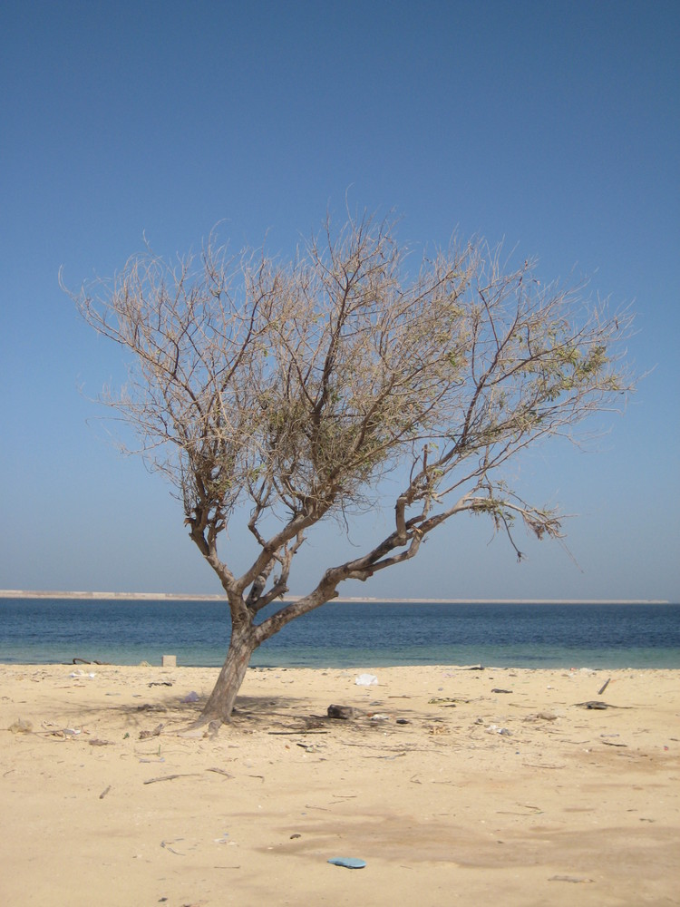 Tripolis Beach