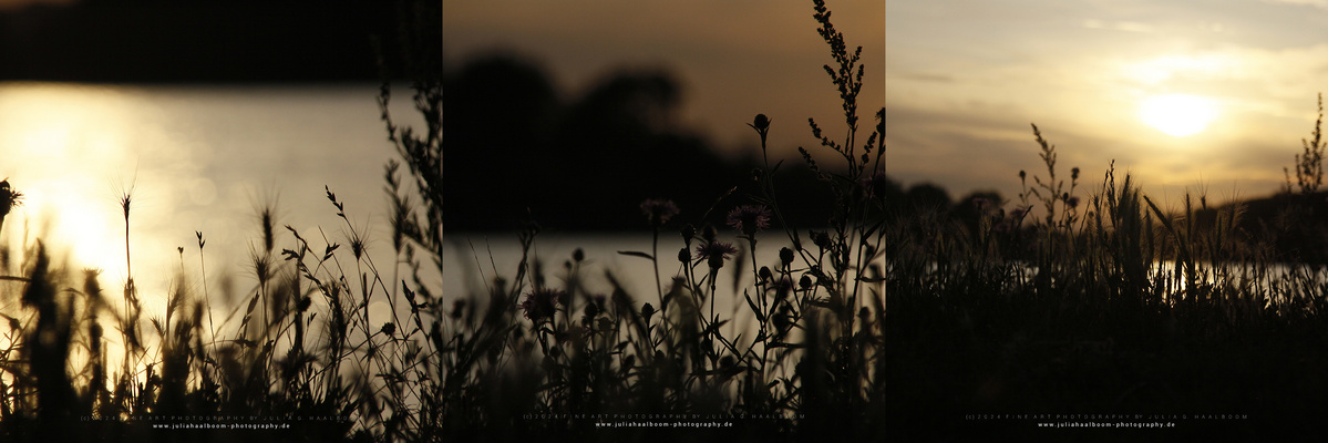 Triptychon *ABENDSTIMMUNG*