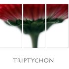 Triptychon