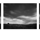 Triptychon - Delta100 (6x7) vergrößert auf 60x80 cm pro Bild