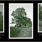 Triptychon II - la campagna siciliana