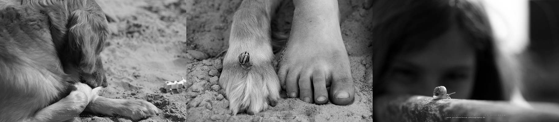 Triptychon *LANDKINDER*