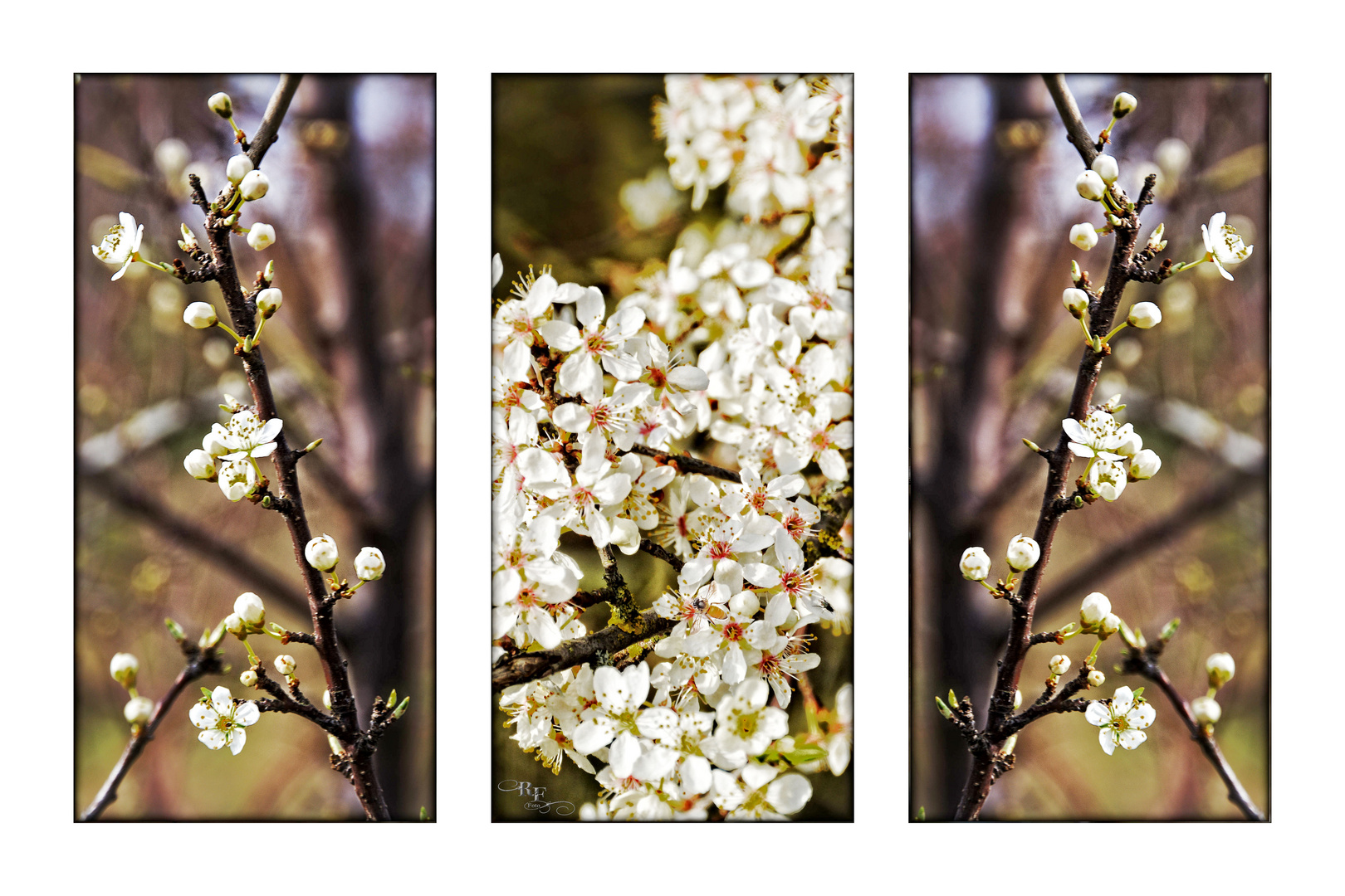 Triptychon - Lass es Treiben, Frühling treibe