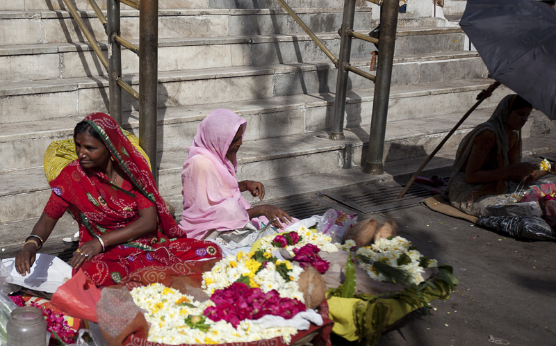 Tripudio di colori in Udaipur ( Rajasthan)