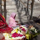 Tripudio di colori in Udaipur ( Rajasthan)