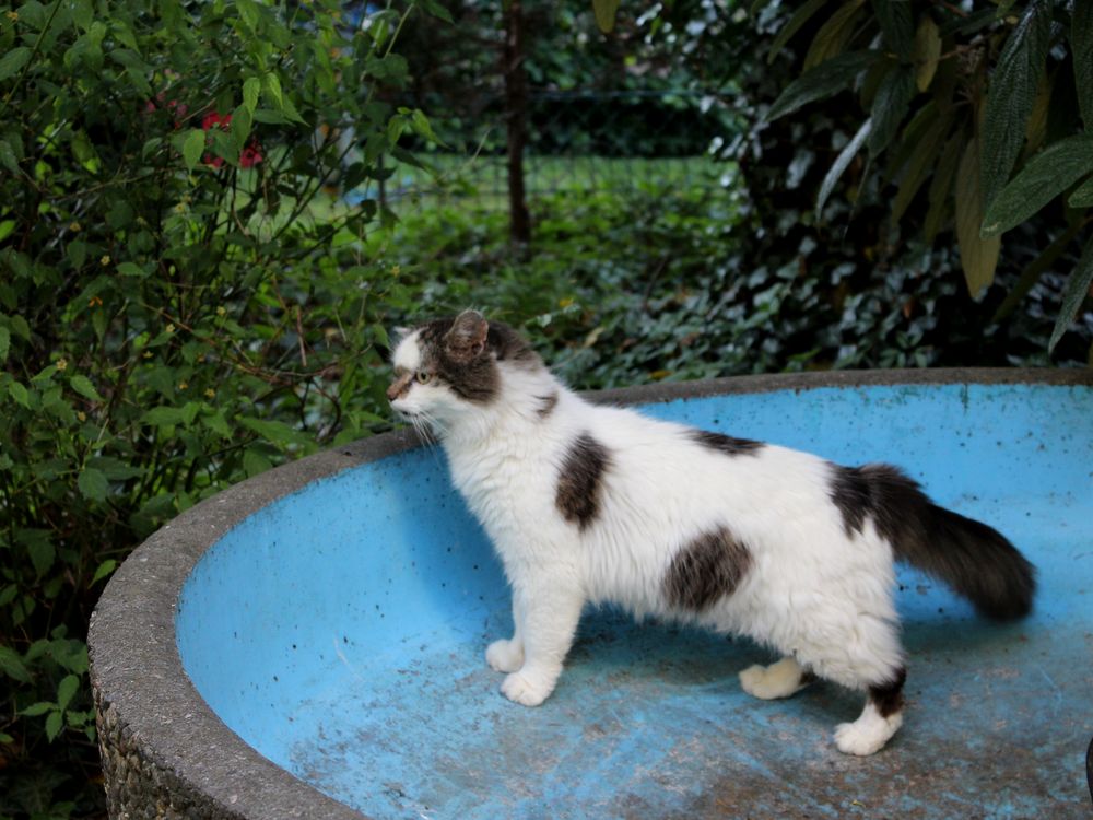 Tristan im alten Brunnen