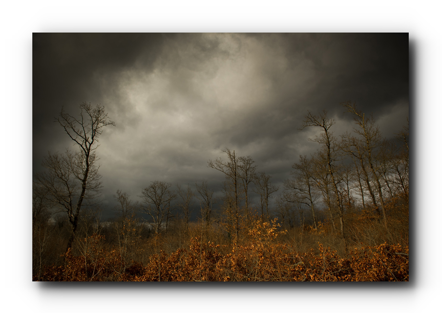 Triste Photo Et Image Les Saisons Hiver Paysage Images Fotocommunity Triste Photo Et Image Les Saisons Hiver Paysage Images Fotocommunity