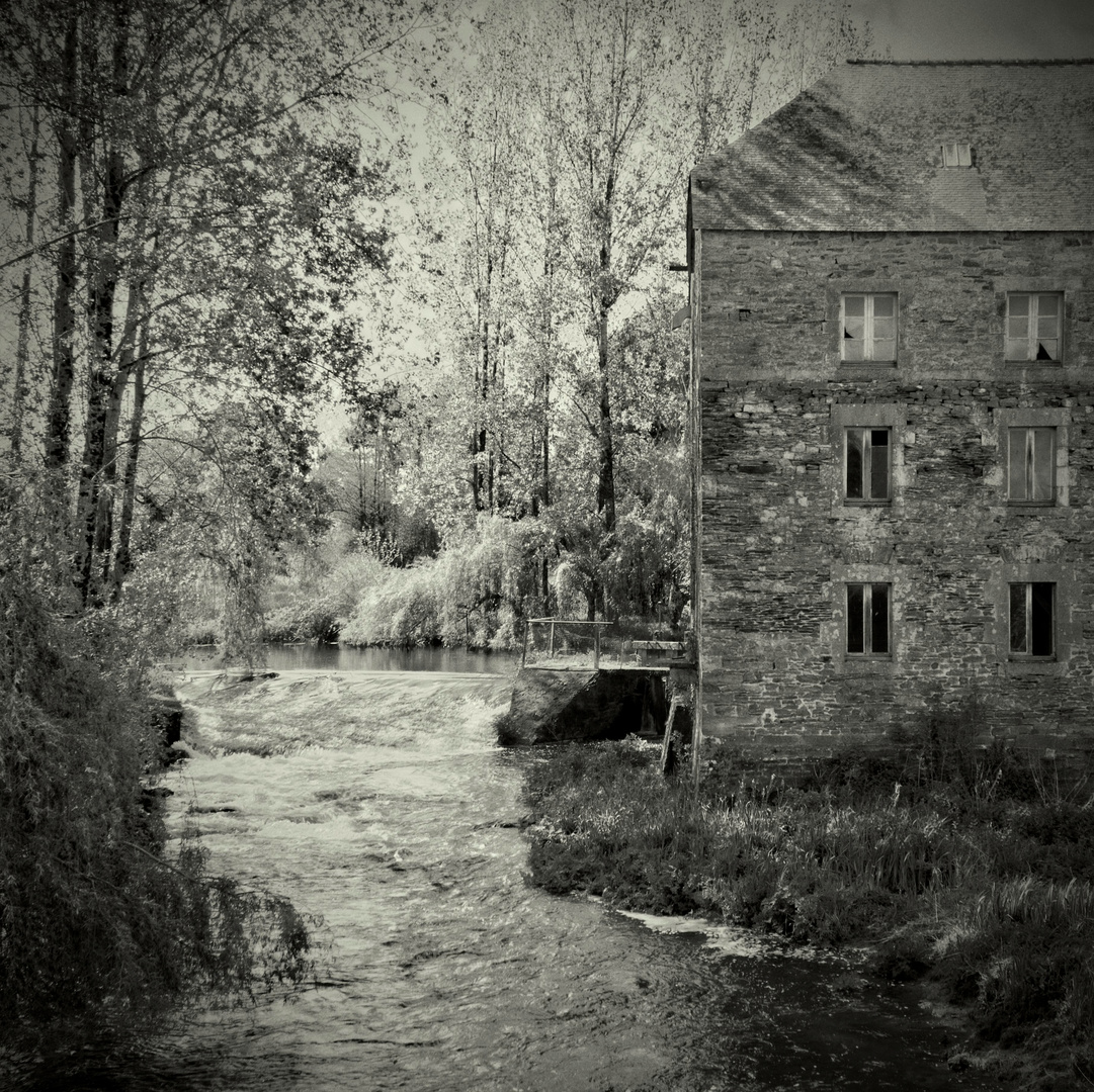 Triste fin annoncée d'un moulin à eau laissé à l'abandon