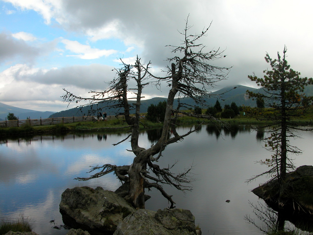 Triste paesaggio