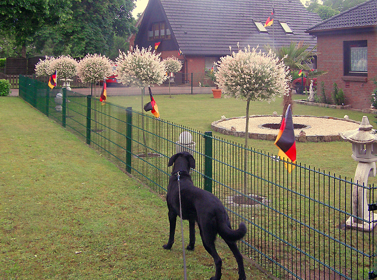 Trister Morgen nach der Niederlage