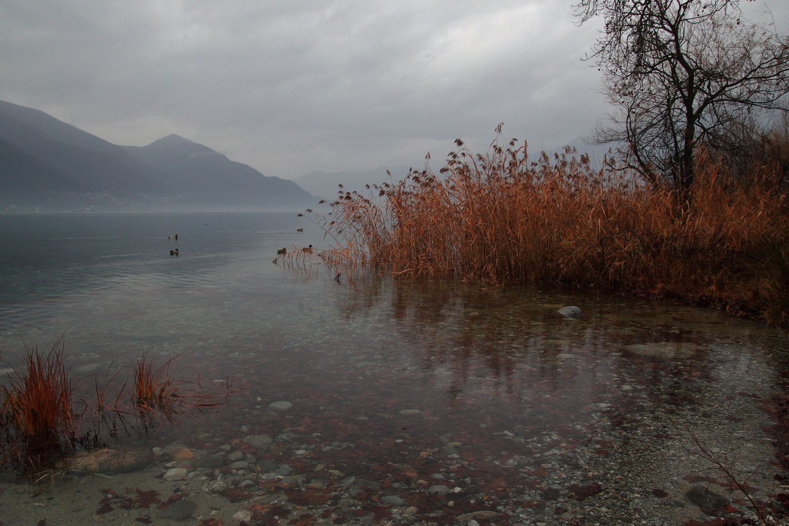 Tristes Herbstwetter.....