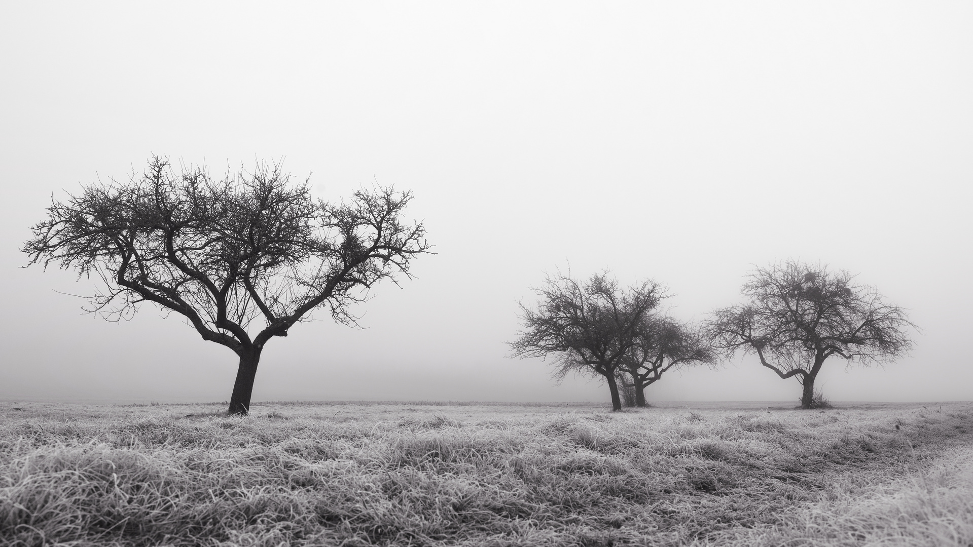 Tristesse