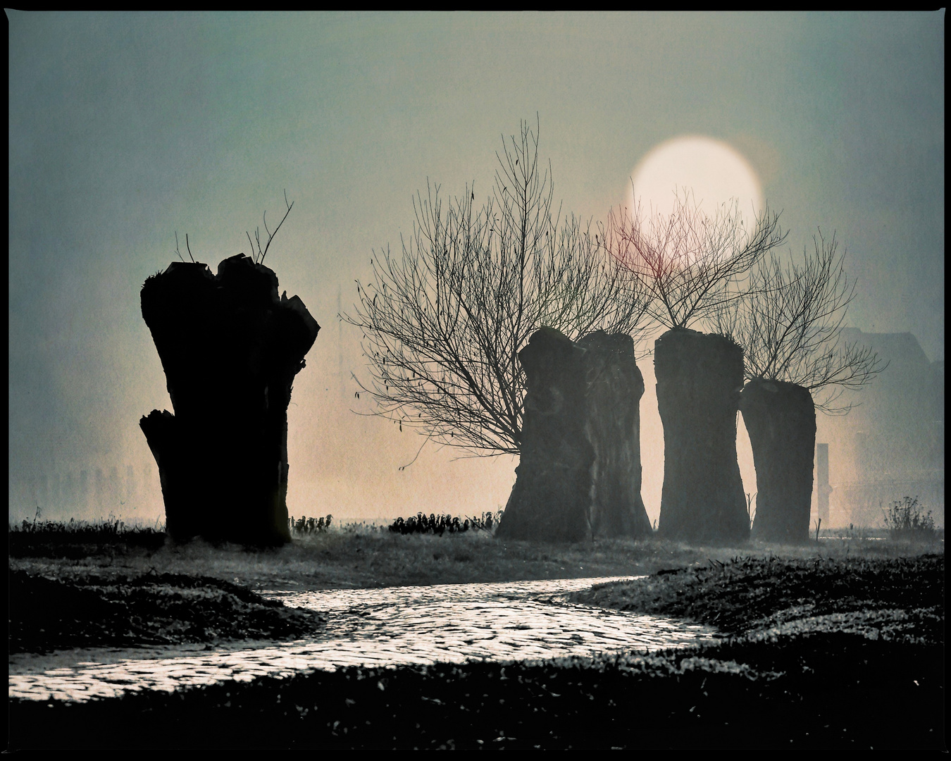 Tristesse 