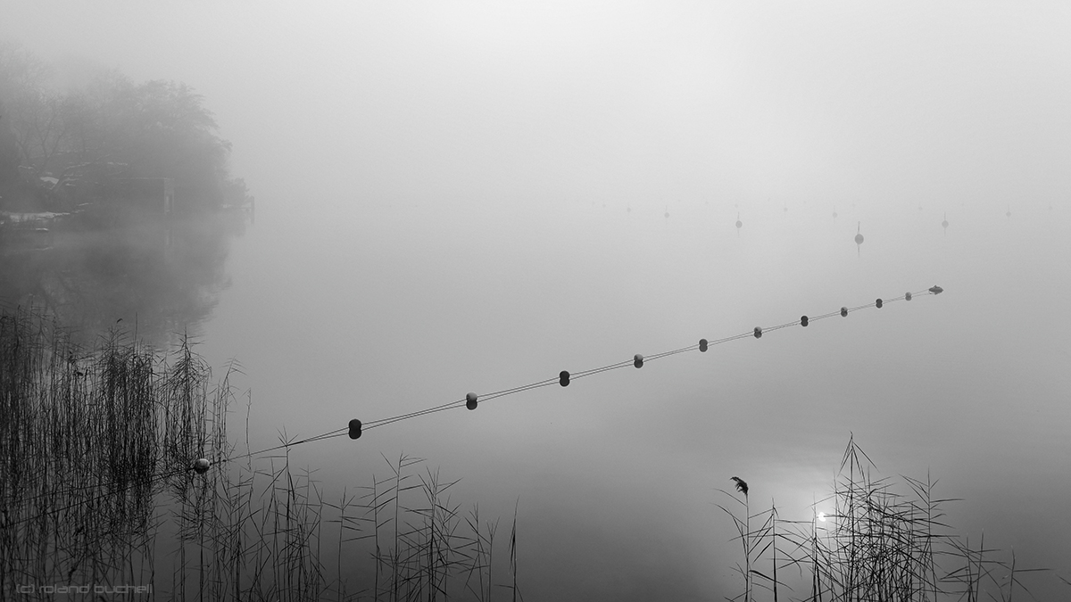 [ Tristesse am Aegerisee ]