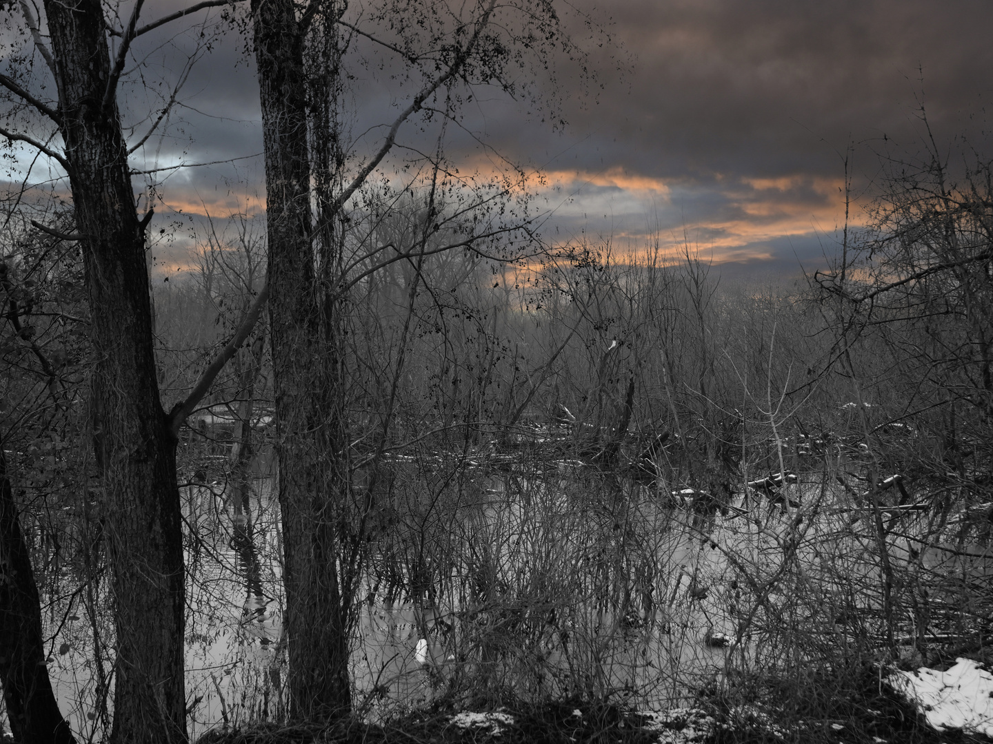                     "Tristesse am Bibersee"