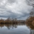 Tristesse am Erlensee