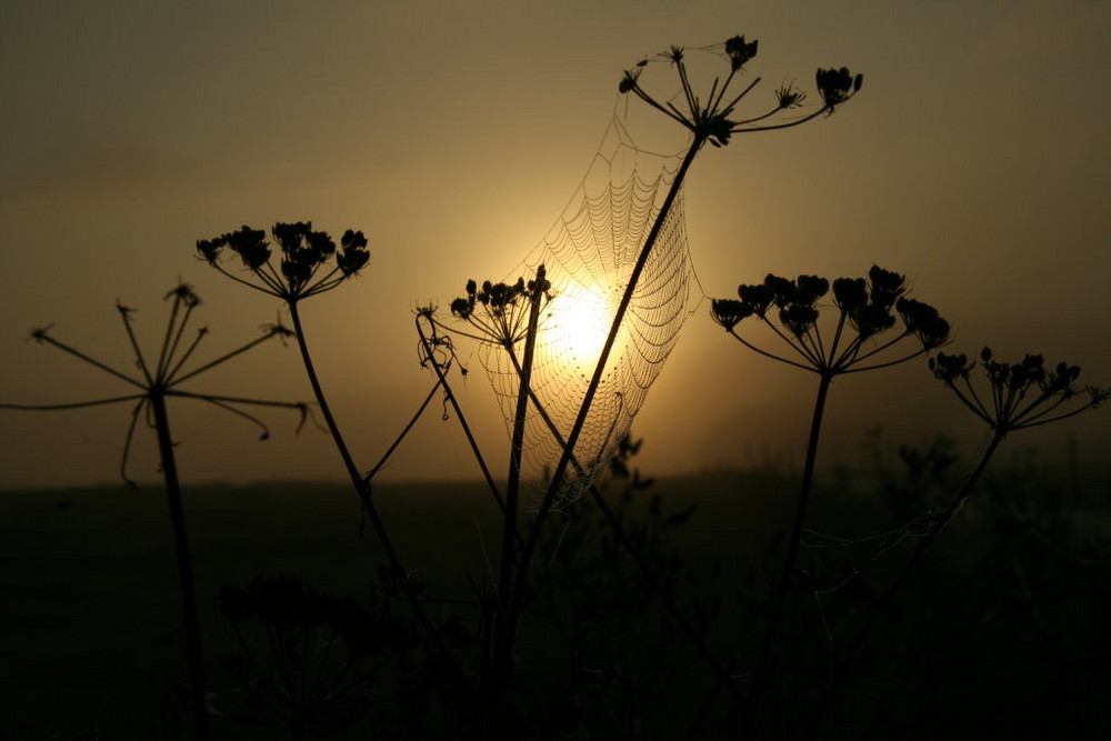 Tristesse am Wegesrand