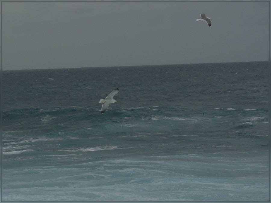 Tristesse auf Teneriffa