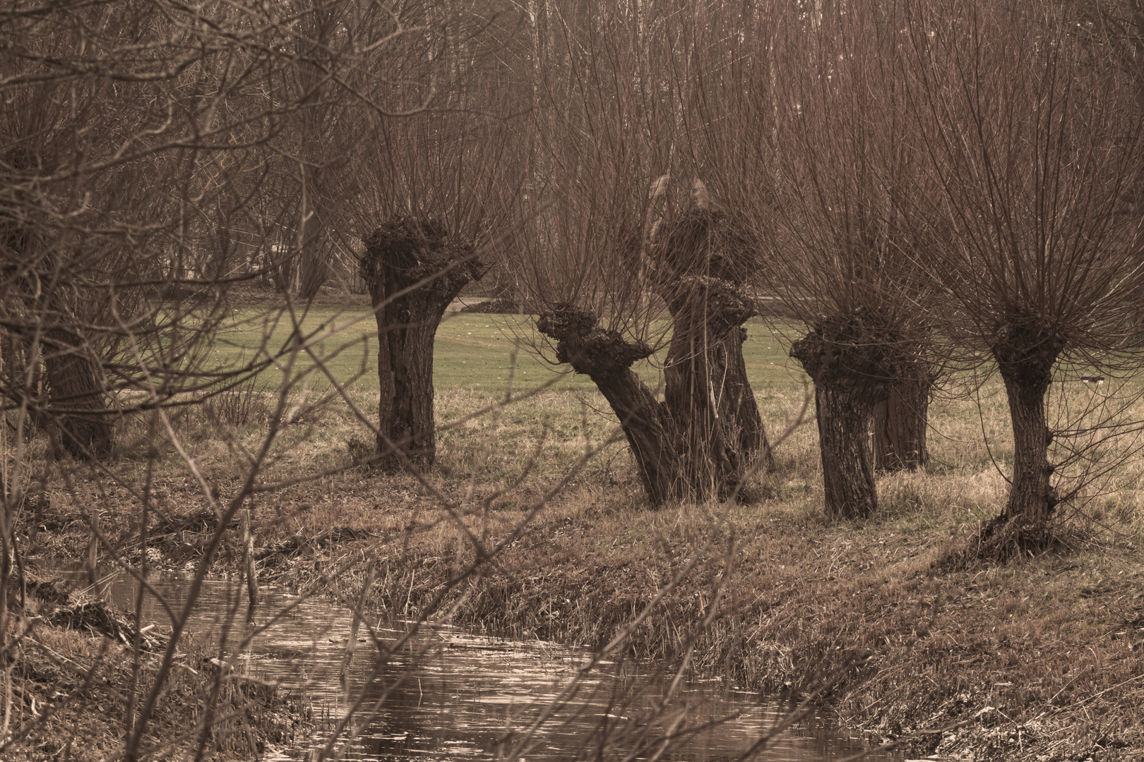 Tristesse im Britzer Garten