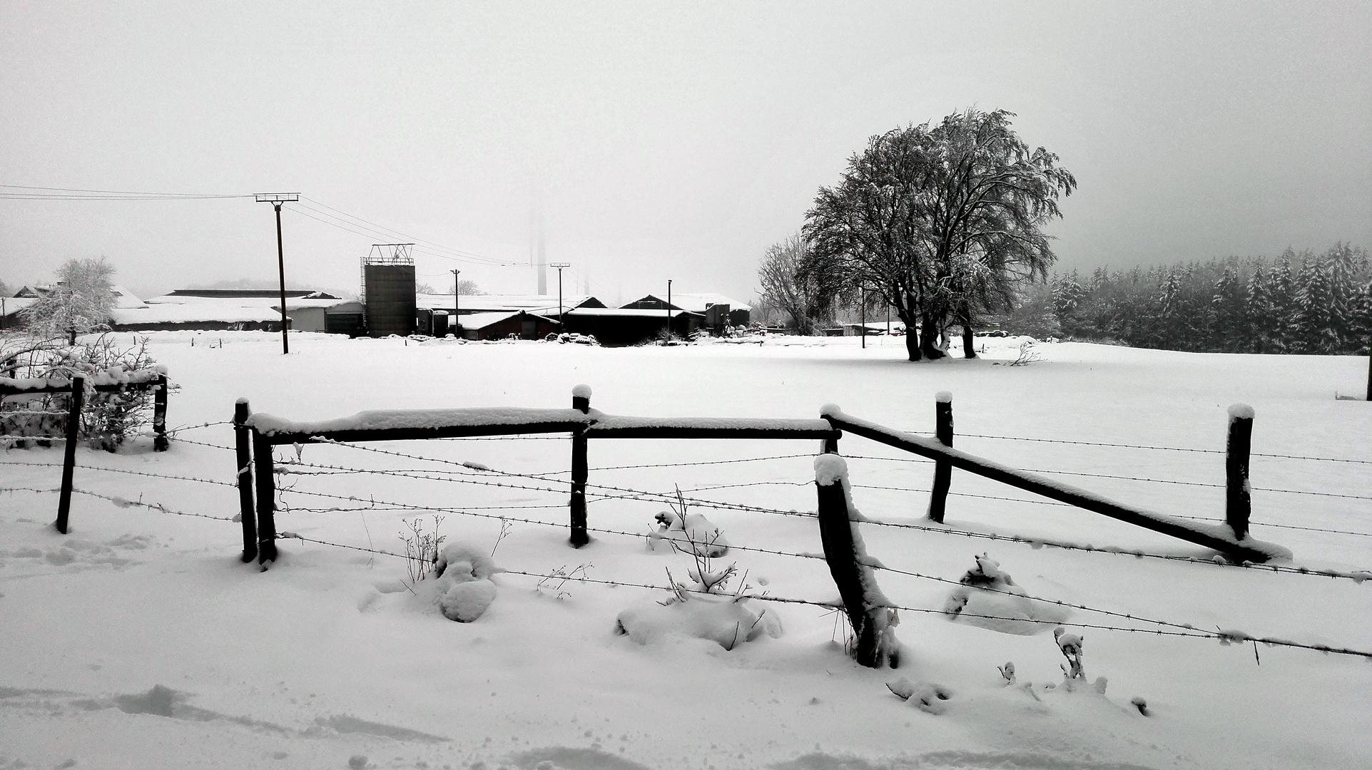 Tristesse in weiß