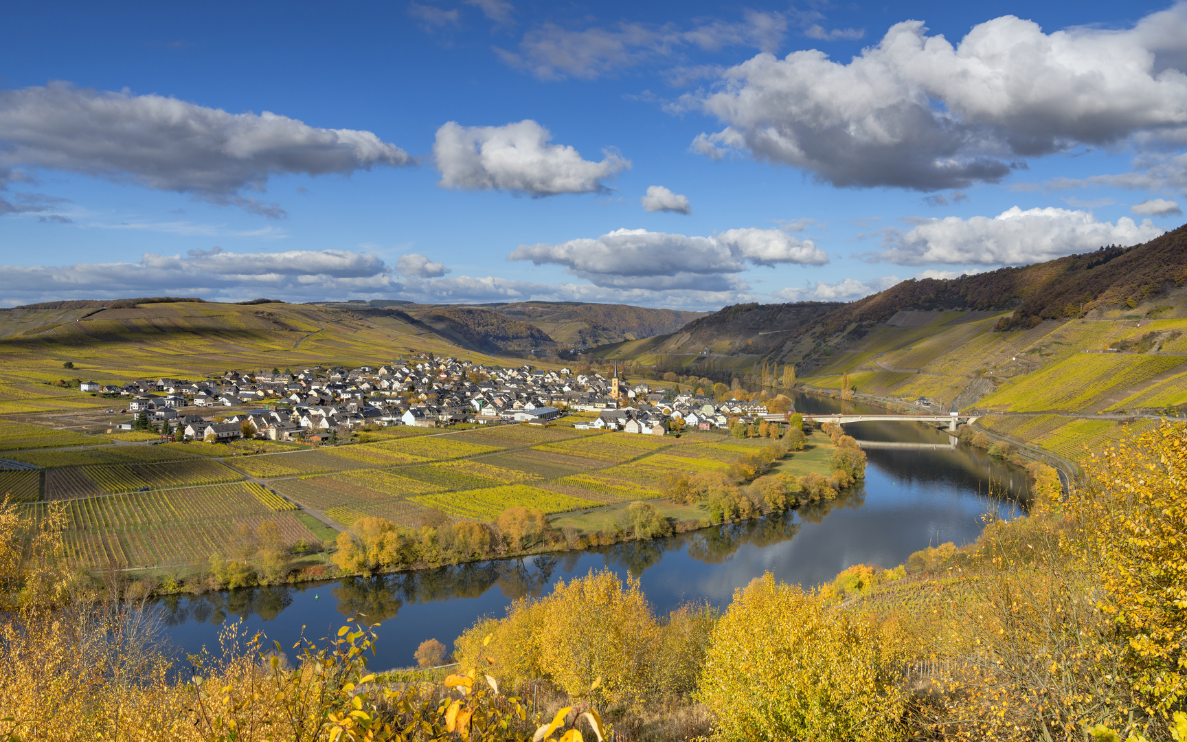 *Trittenheim @ Goldener Herbst an der Mosel*