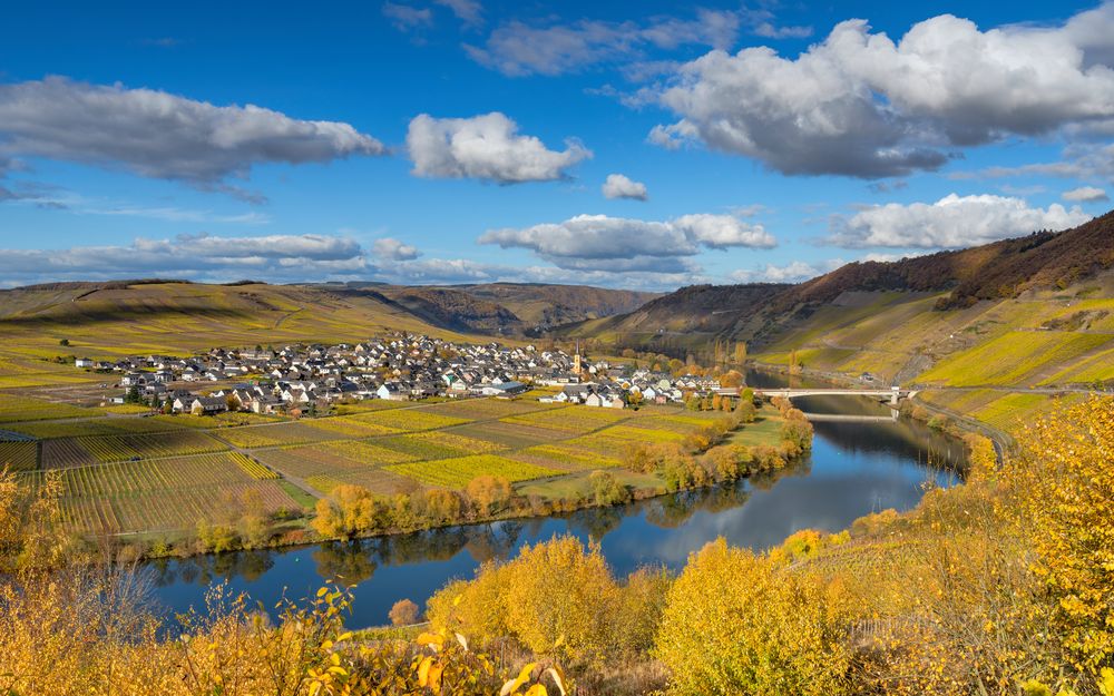 *Trittenheim @ Goldener Herbst an der Mosel*