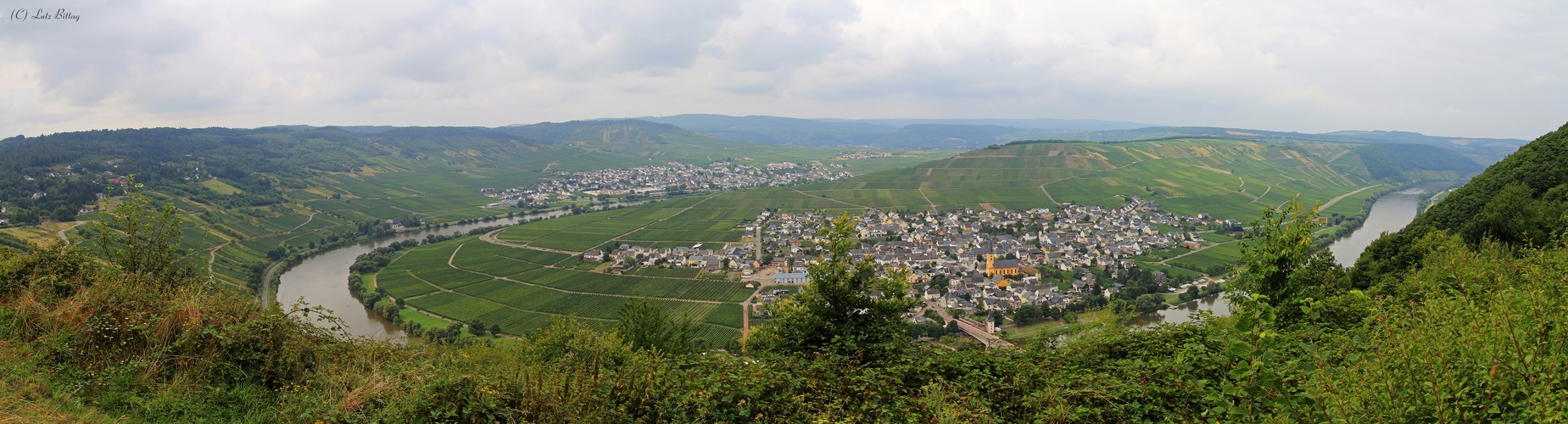 Trittenheim Panorama