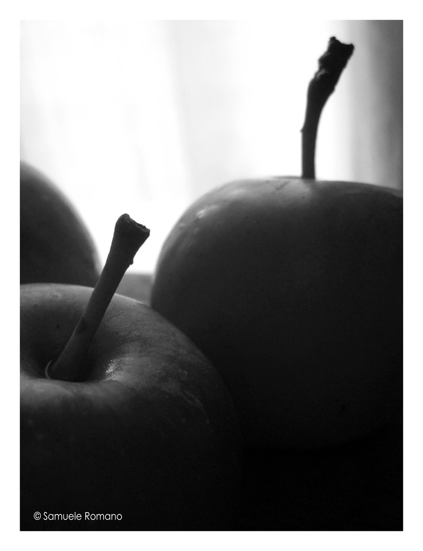 "Trittico di mele" - III. Apples.